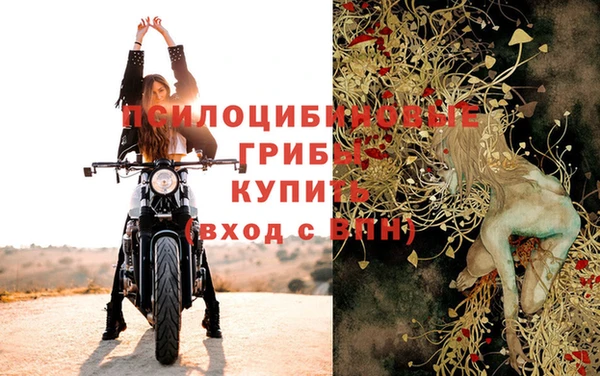 прущие грибы Дмитриев