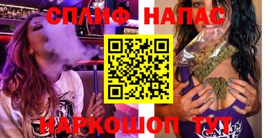 сатива Новокубанск