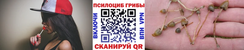 Галлюциногенные грибы Cubensis  Спасск-Дальний 