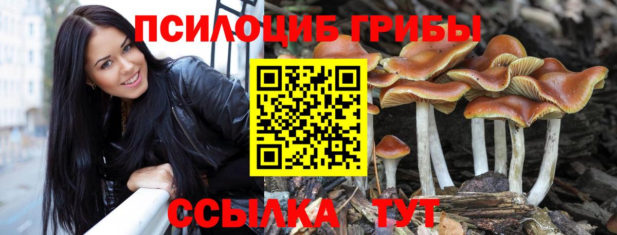 Галлюциногенные грибы ЛСД Спасск-Дальний