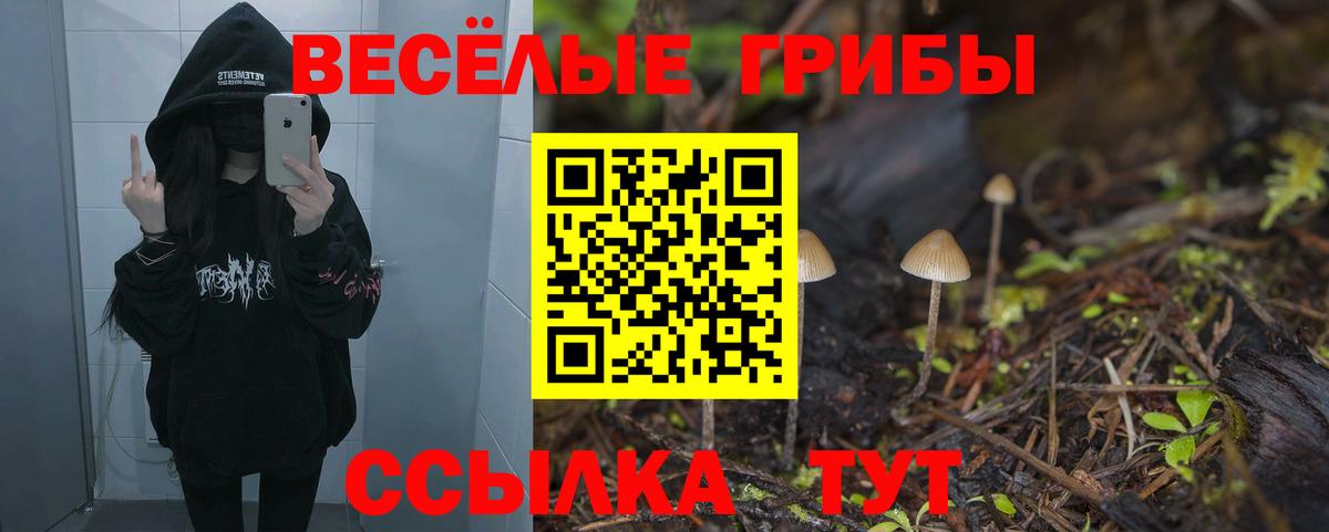 Спасск-Дальний  Псилоцибиновые грибы прущие грибы  Вход с VPN 